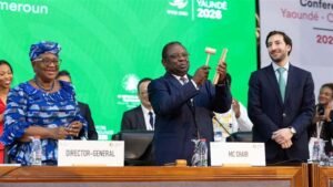 Retour sur la CM14 de l’OMC à Yaoundé : entre résultats concrets, blocages persistants et feuille de route pour la réforme du commerce mondial